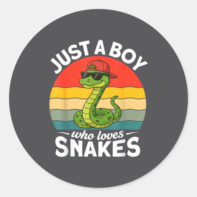 Just A Boy Who Loves Snakes Funny Snake Reptile Ki Classic Round Sticker (Front)