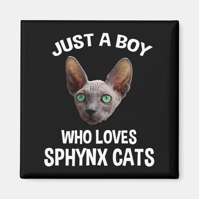 Just A Boy Who Loves Sphynx Cats Magnet (Front)