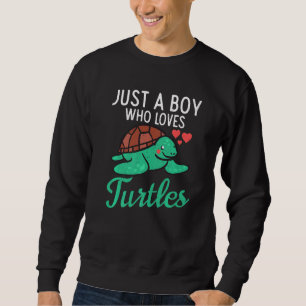 Just A Boy Who Loves Turtles Aquatic Animals Tort Sweatshirt