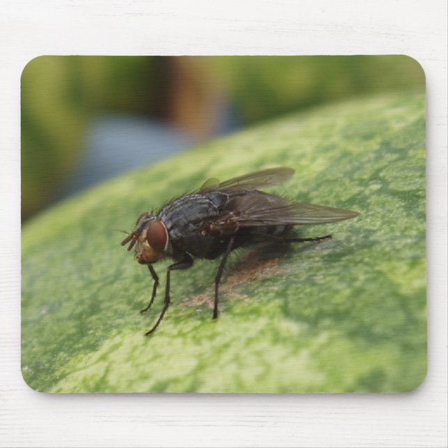 Just a Crazy Image Mouse Mat (Front)