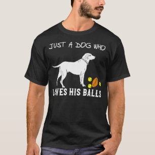Just A Dog Who Loves His Balls Playful Labrador Re T-Shirt
