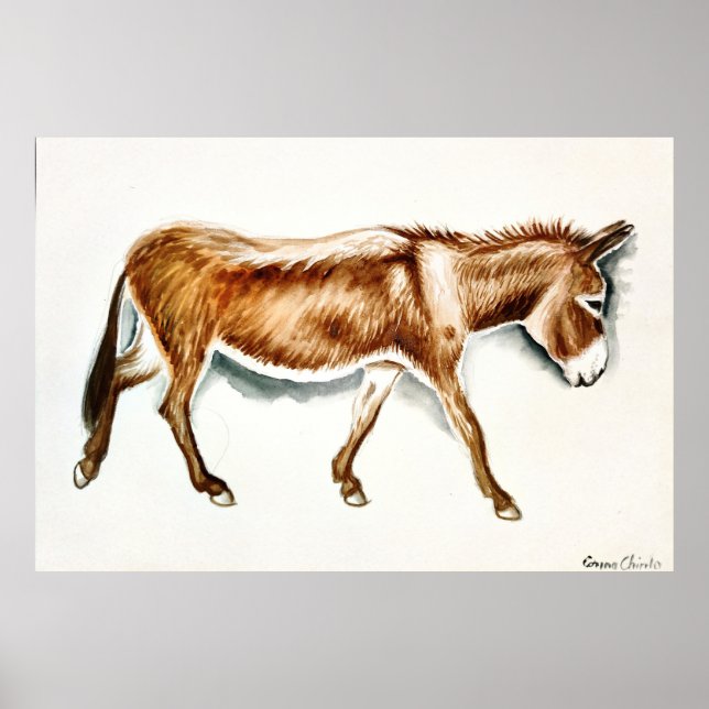Just a donkey poster (Front)