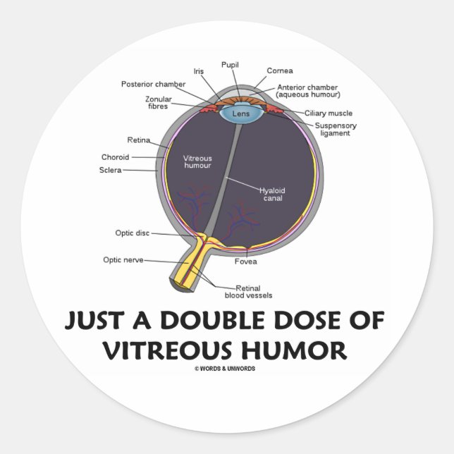 Just A Double Dose Of Vitreous Humour (Eye Anatomy Classic Round Sticker (Front)