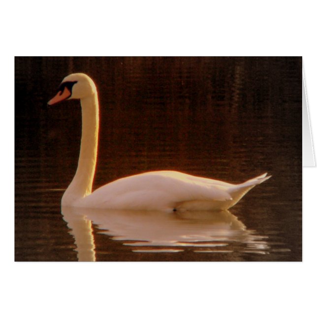 Just a dream (Front Horizontal)