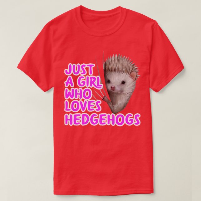 Just A Girl Who Loves Hedgehogs T-Shirt (Design Front)