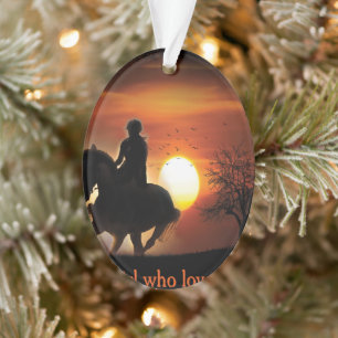 just a girl who loves horses ornament