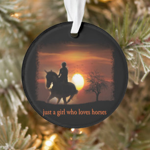 just a girl who loves horses ornament