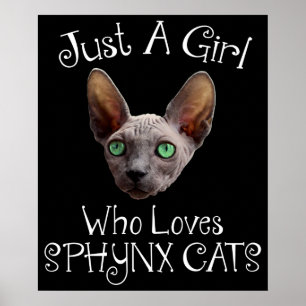 Just A Girl Who Loves Sphynx Cats Poster