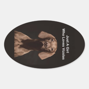 Just A Girl Who Loves Vizslas Oval Sticker