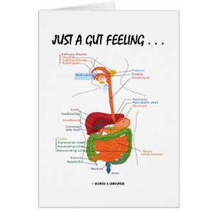 Just A Gut Feeling... (Digestive System Humour)