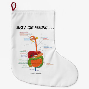Just A Gut Feeling... Digestive System Humour Large Christmas Stocking