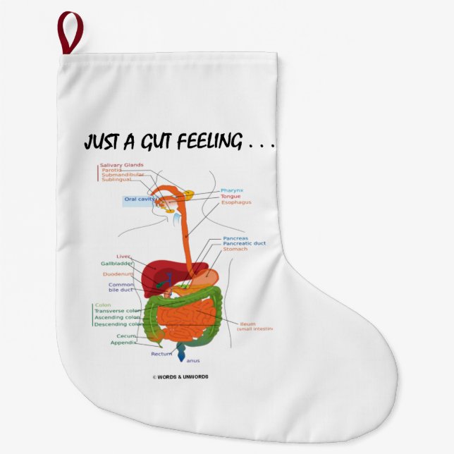 Just A Gut Feeling... Digestive System Humour Large Christmas Stocking (Front)