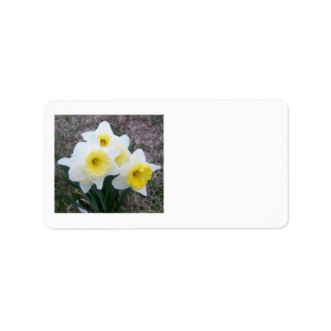 Just a Little Daffodil... Label (Front)