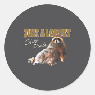 Just A Lowkey Chill Dude Cute Raccoon Funny Meme Classic Round Sticker