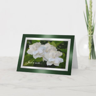 Just a note card Gardenia flowers Photography