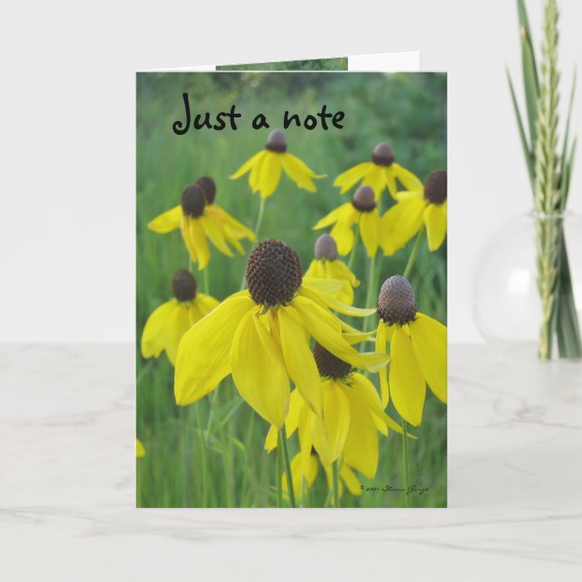 Just a Note Card/Yellow Coneflowers Card (Front)