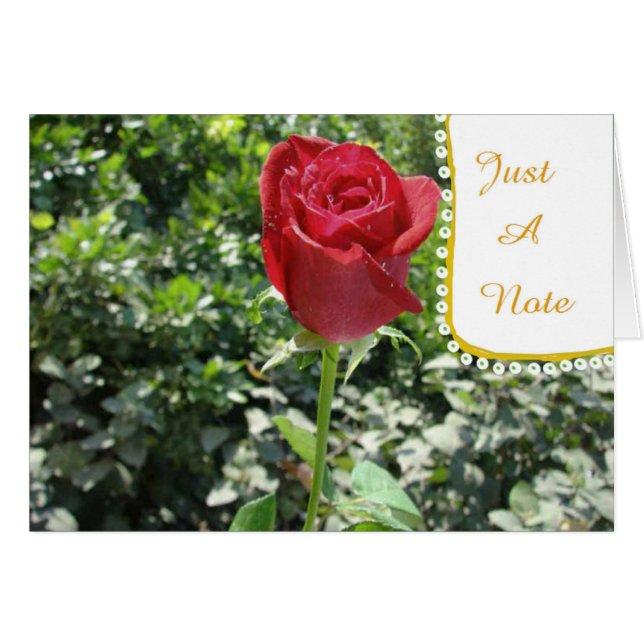Just-A-Note Red Rose Bud Blank Card (Front Horizontal)