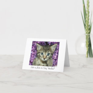 Just a Note to Say "Hello!" Grey Kitten Card