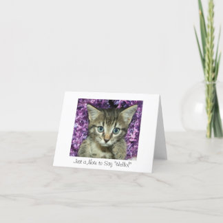 Just a Note to Say "Hello!" Grey Kitten Card