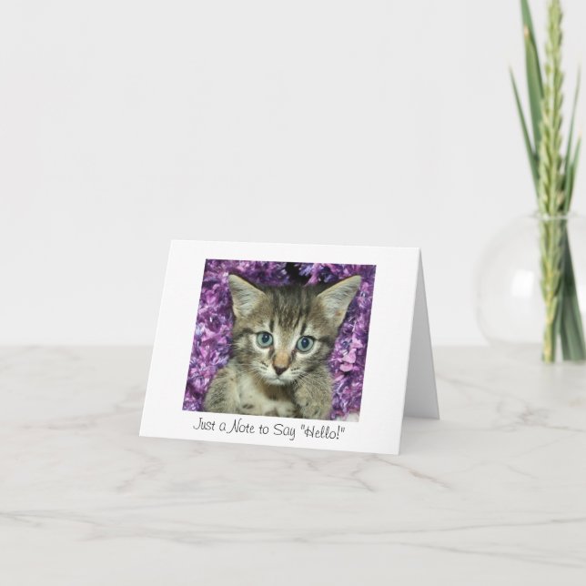Just a Note to Say "Hello!" Grey Kitten Card (Front)