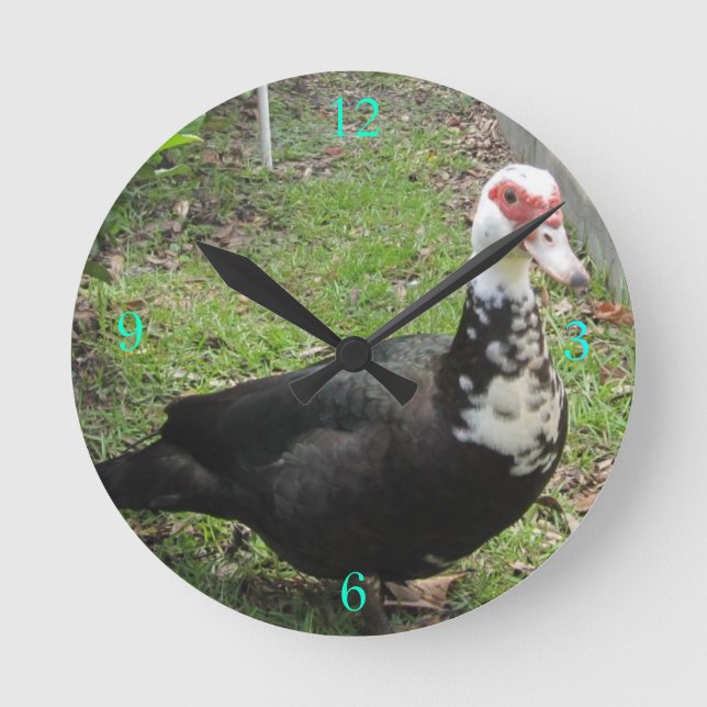 Just a Qwack in Time Round Clock (Front)