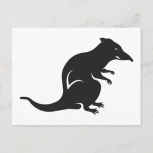 Just a Rat Postcard