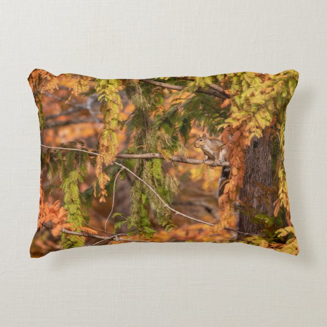 Just A Squirrel In The Woods Decorative Cushion (Front)