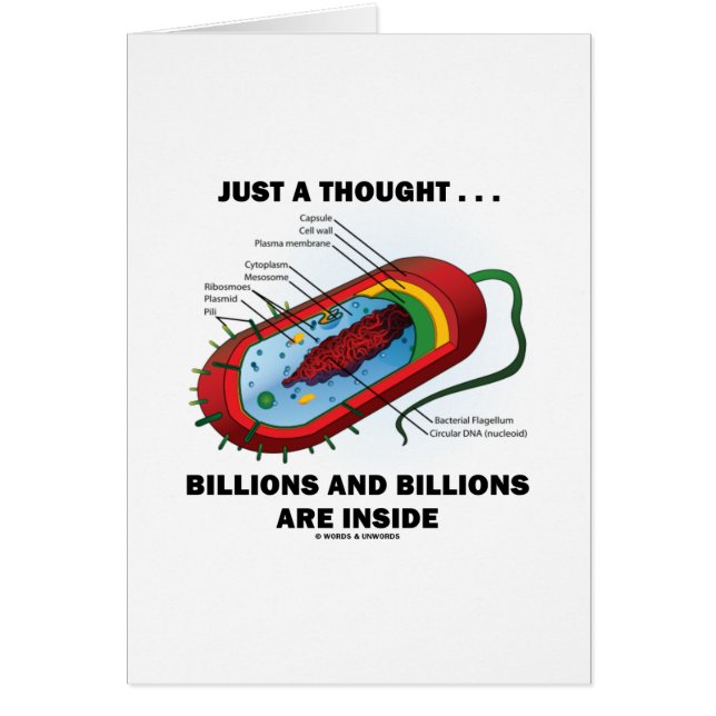 Just A Thought... Billions and Billions Inside (Front)
