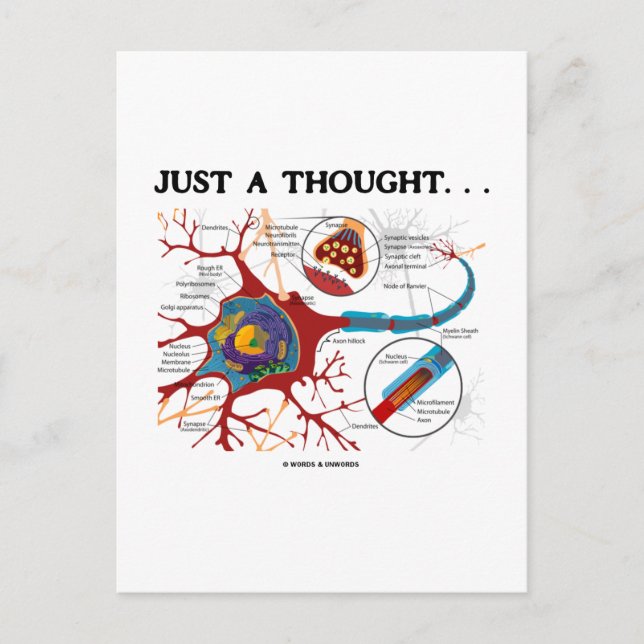 Just A Thought... (Neuron / Synapse) Postcard (Front)