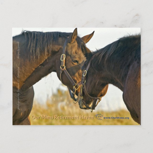 Just a Touch Postcard (Front)