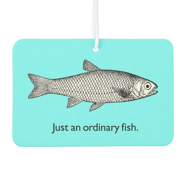 Just an ordinary fish air freshener (Front)
