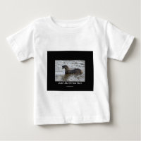 Just an Otter Day Gifts