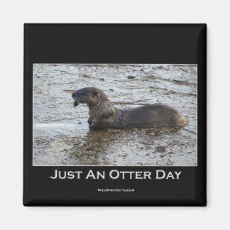 Just an Otter Day Gifts Magnet