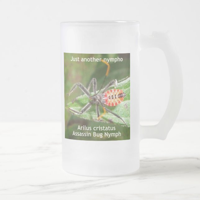 Just Another Nympho Frosted Glass Beer Mug (Right)