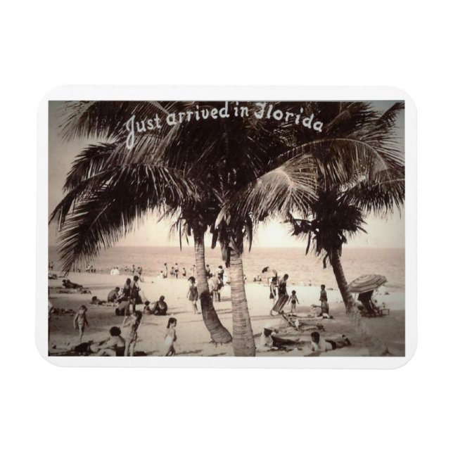 Just arrived in Florida! Vintage Magnet (Horizontal)