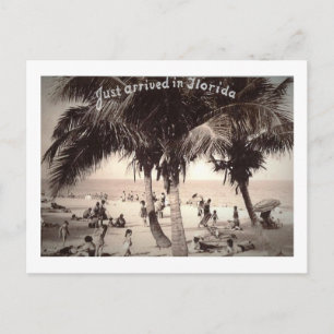 Just Arrived in Florida! Vintage Postcard