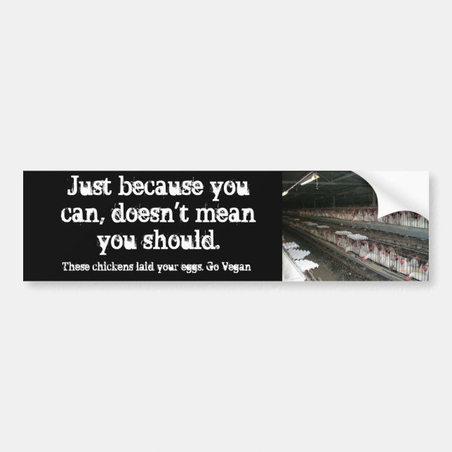 Just because you can, Egg laying hens Bumper Sticker (Front)