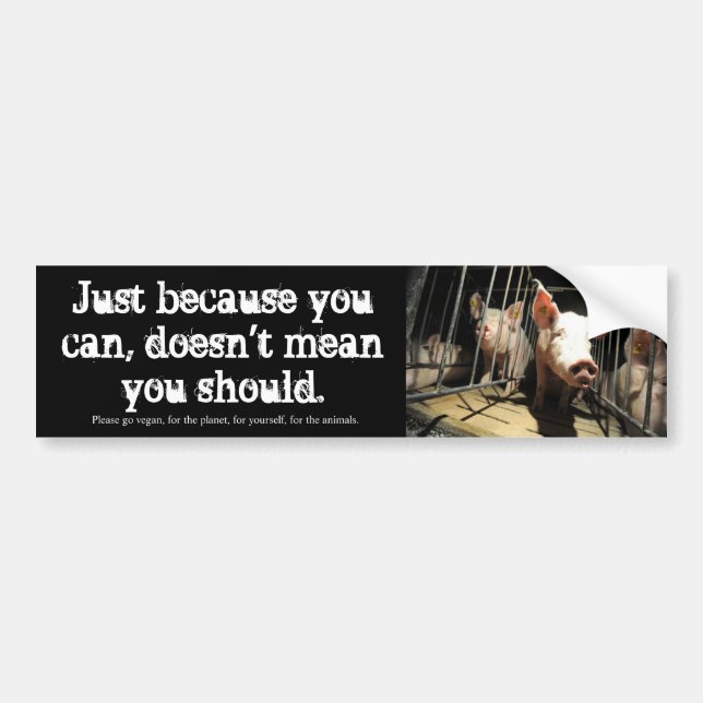 Just because you can, pigs bumper sticker (Front)