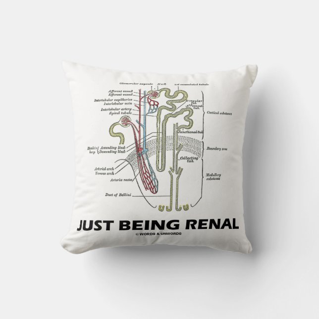 Just Being Renal (Kidney Nephron Renal Humour) Cushion (Front)
