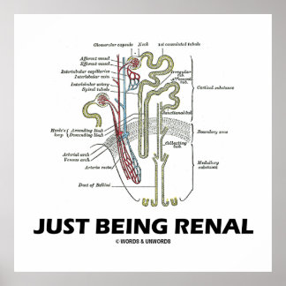Just Being Renal (Kidney Nephron Renal Humour) Poster
