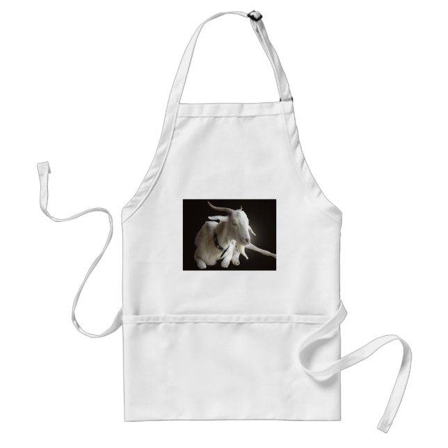 Just Billy Standard Apron (Front)