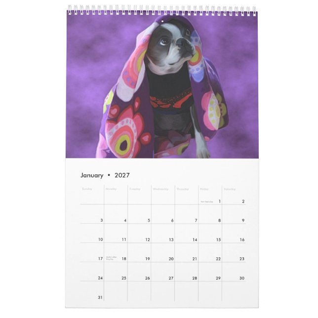 Just Bostons Calendar (Jan 2027)
