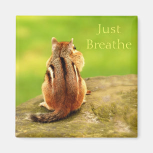 Just Breathe Chipmunk Magnet