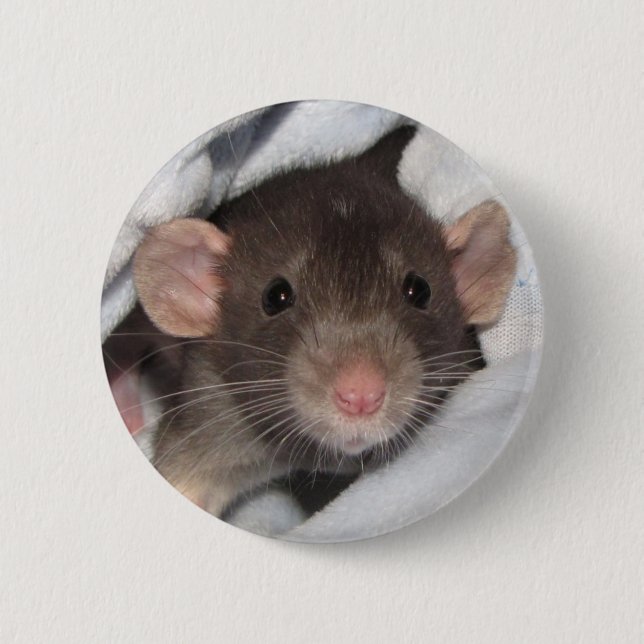 Just call me CUTIE Button (Front)