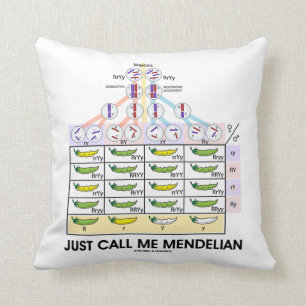 Just Call Me Mendelian (Punnett Square Genetics) Cushion