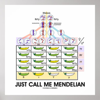 Just Call Me Mendelian (Punnett Square Genetics) Poster