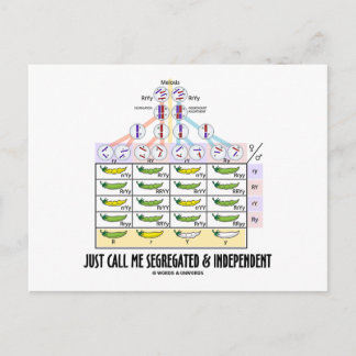 Just Call Me Segregated and Independant (Dihybrid) Postcard