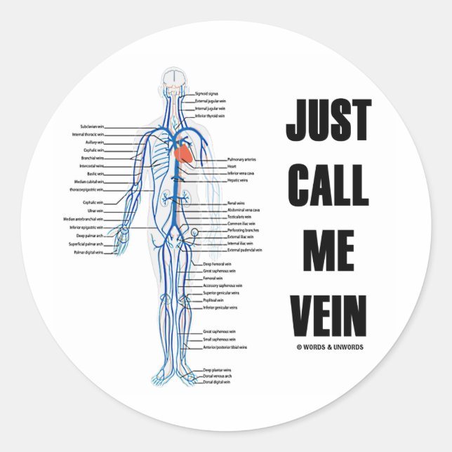Just Call Me Vein (Circulatory System Attitude) Classic Round Sticker (Front)