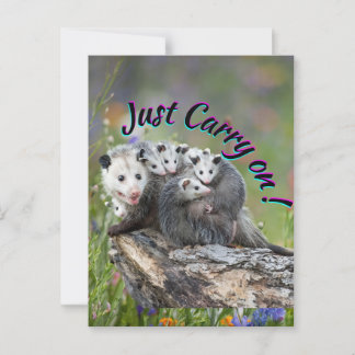 Just Carry On!   Postcard