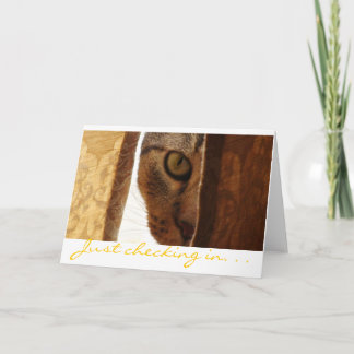 Just checking in. . . card